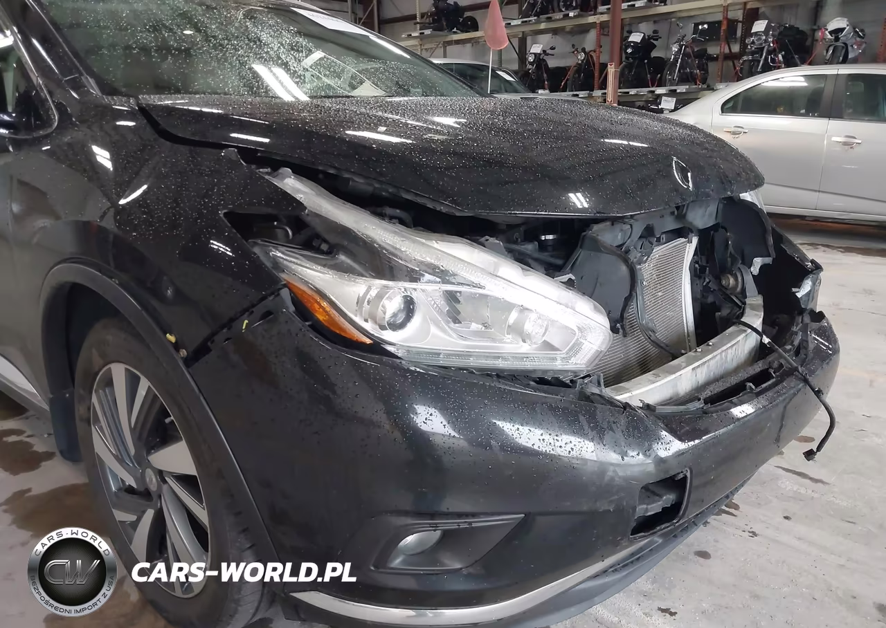 2015 Nissan Murano Platinum VIN:5N1AZ2MH3FN287489 - 19