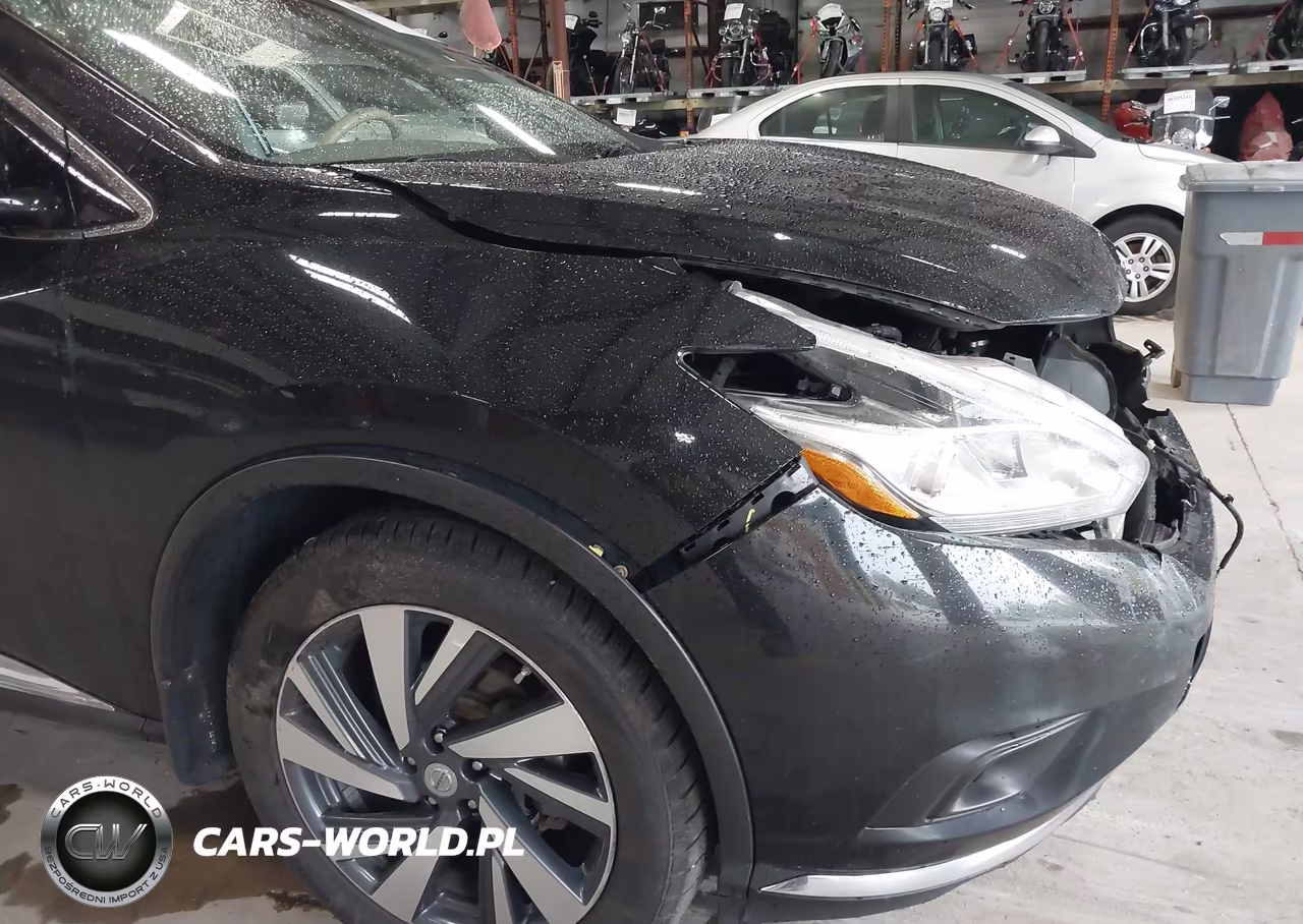 2015 Nissan Murano Platinum VIN:5N1AZ2MH3FN287489 - 20
