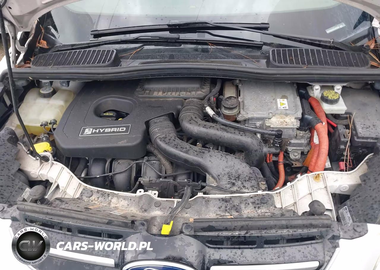 2013 Ford C-Max Hybrid Sel VIN:1FADP5BU7DL505263 - 10
