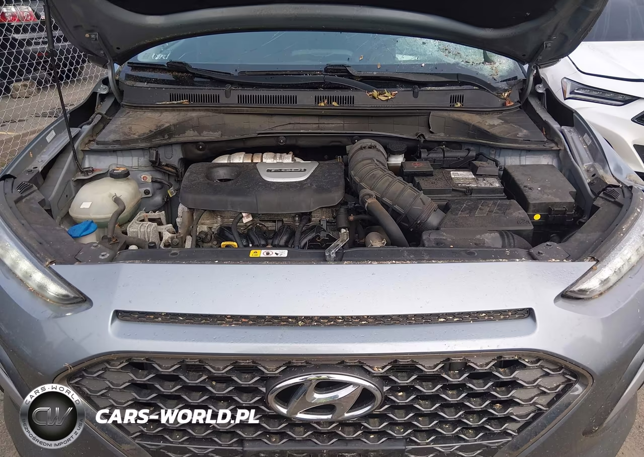 2019 Hyundai Kona Ultimate VIN:KM8K5CA53KU272281 - 10