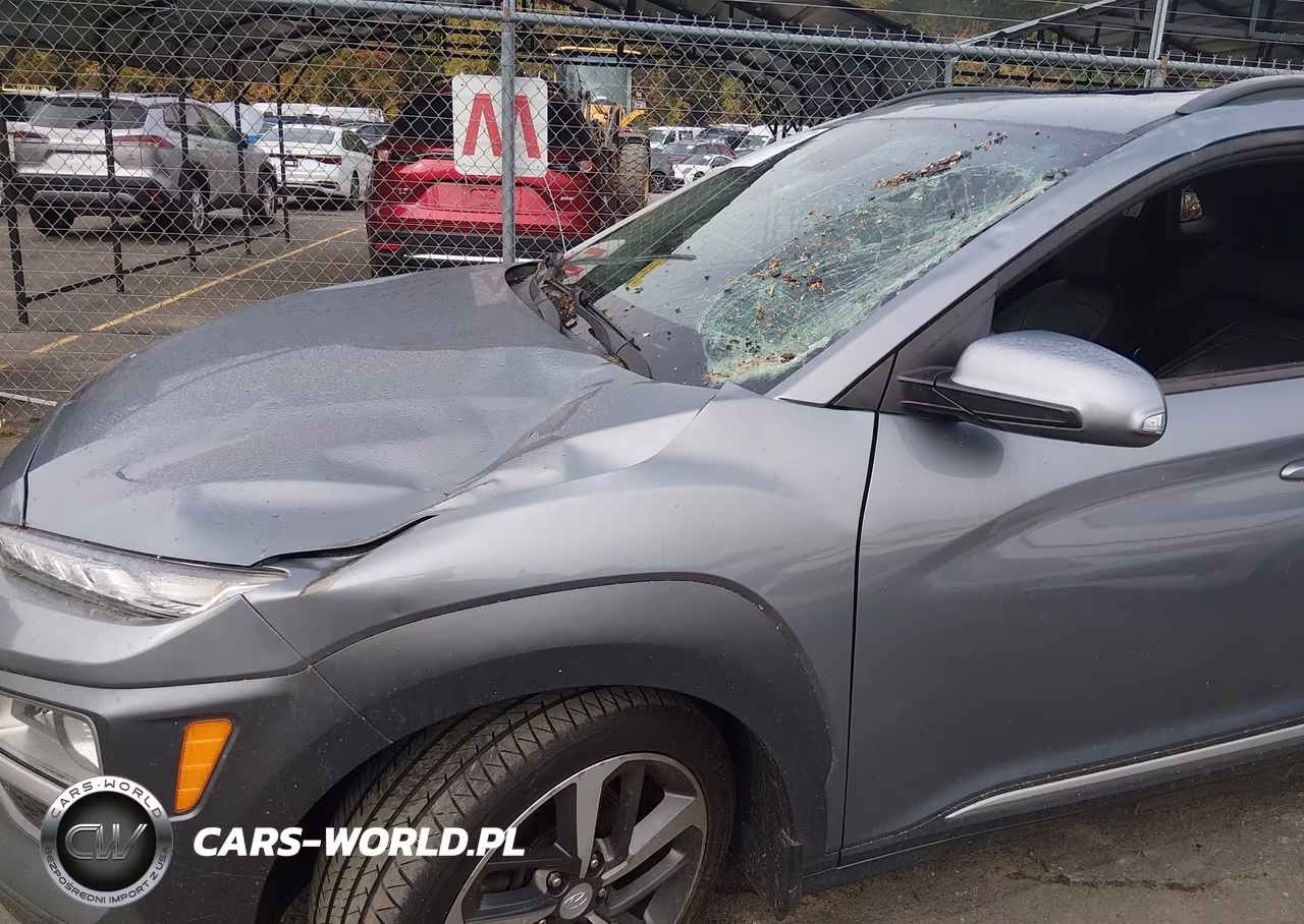2019 Hyundai Kona Ultimate VIN:KM8K5CA53KU272281 - 6