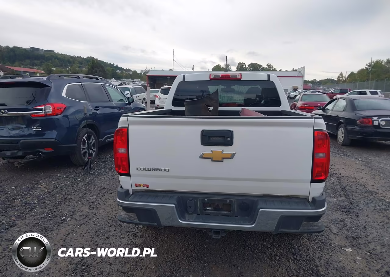 2015 Chevrolet Colorado Wt VIN:1GCGTAE30F1231286 - 16