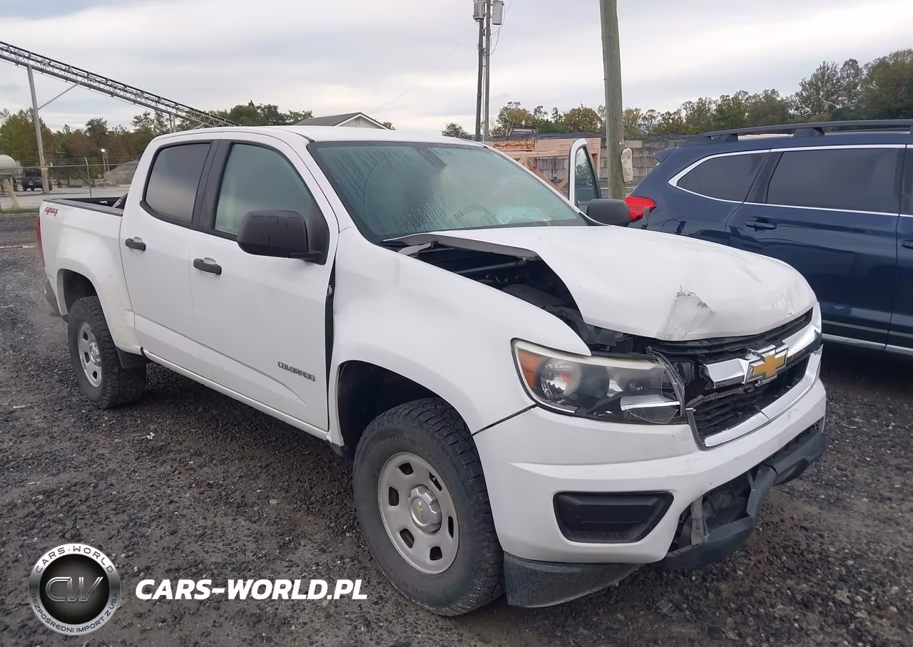 2015 Chevrolet Colorado Wt VIN:1GCGTAE30F1231286 - 17