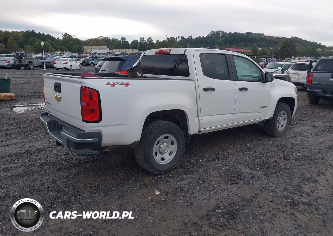 2015 Chevrolet Colorado Wt VIN:1GCGTAE30F1231286 - 4