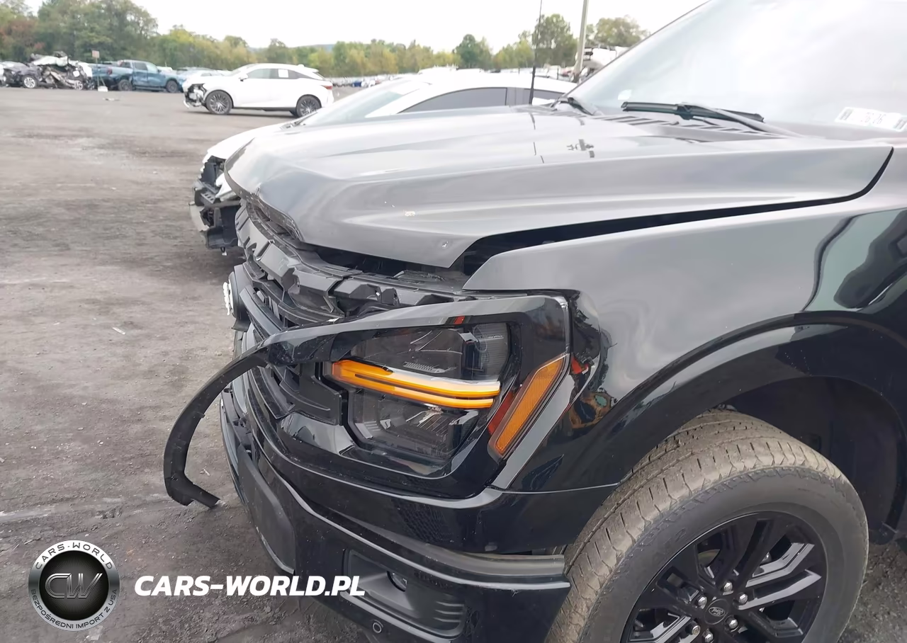 2024 Ford F-150 Xlt VIN:1FTFW3LD6RFC02702 - 19