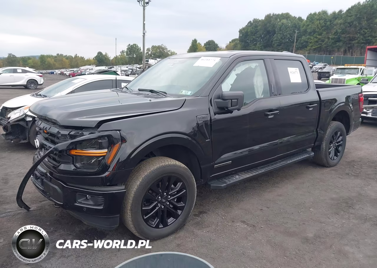 2024 Ford F-150 Xlt VIN:1FTFW3LD6RFC02702 - 2