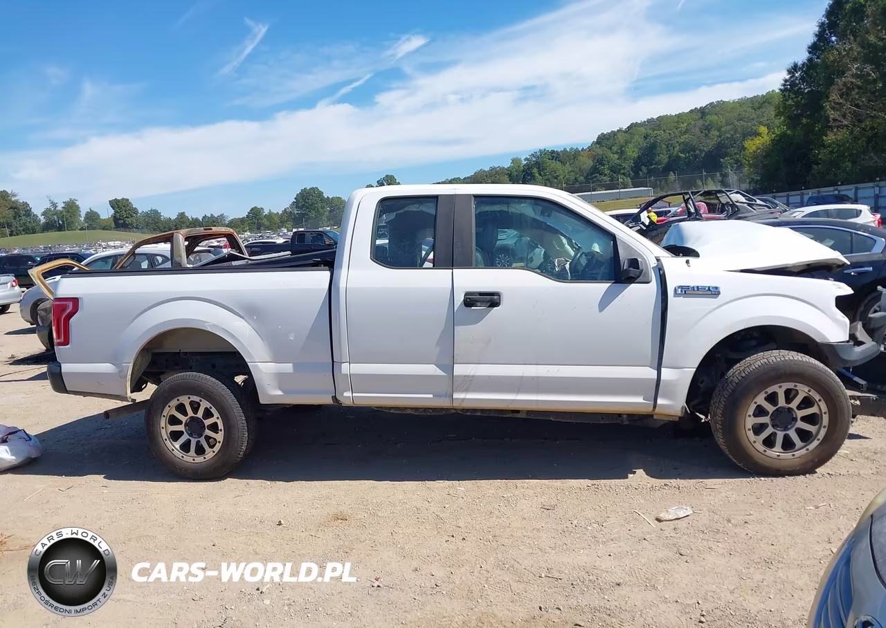 2017 Ford F-150 Xl VIN:1FTEX1C80HFA07645 - 12