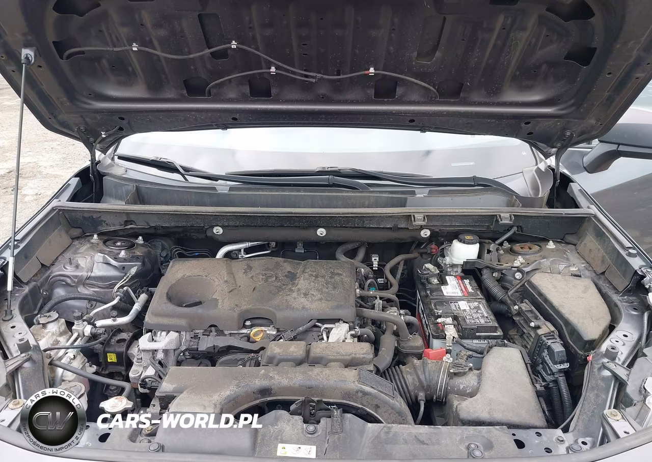 2019 Toyota Rav4 Le VIN:2T3F1RFV8KW046205 - 10