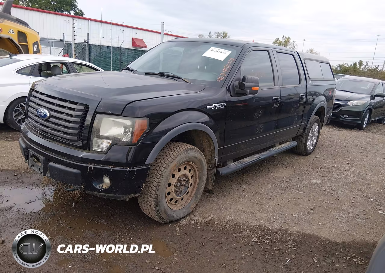 2011 Ford F-150 Fx4 VIN:1FTFW1EF5BFC64181 - 2