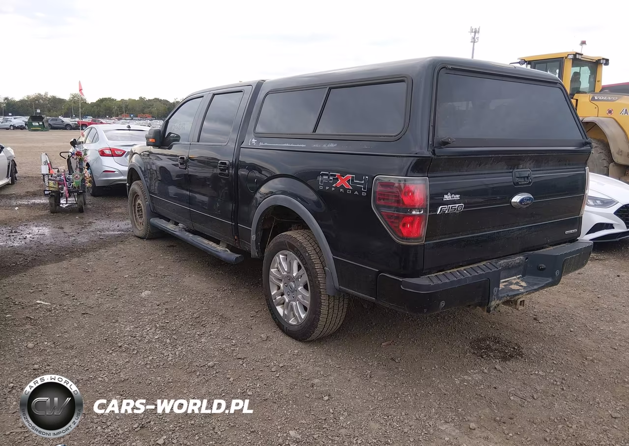 2011 Ford F-150 Fx4 VIN:1FTFW1EF5BFC64181 - 3