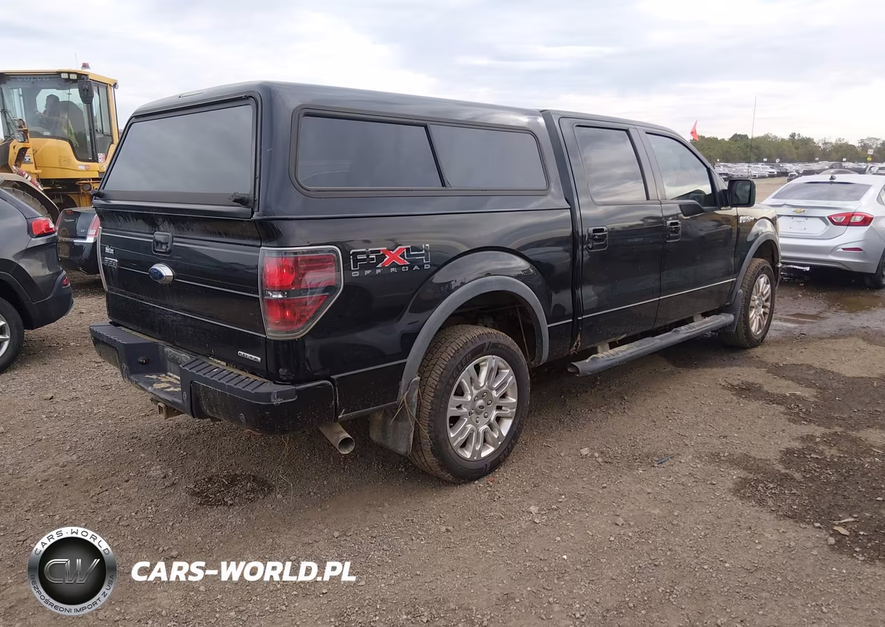 2011 Ford F-150 Fx4 VIN:1FTFW1EF5BFC64181 - 4