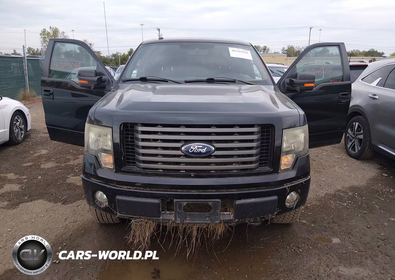 2011 Ford F-150 Fx4 VIN:1FTFW1EF5BFC64181 - 6