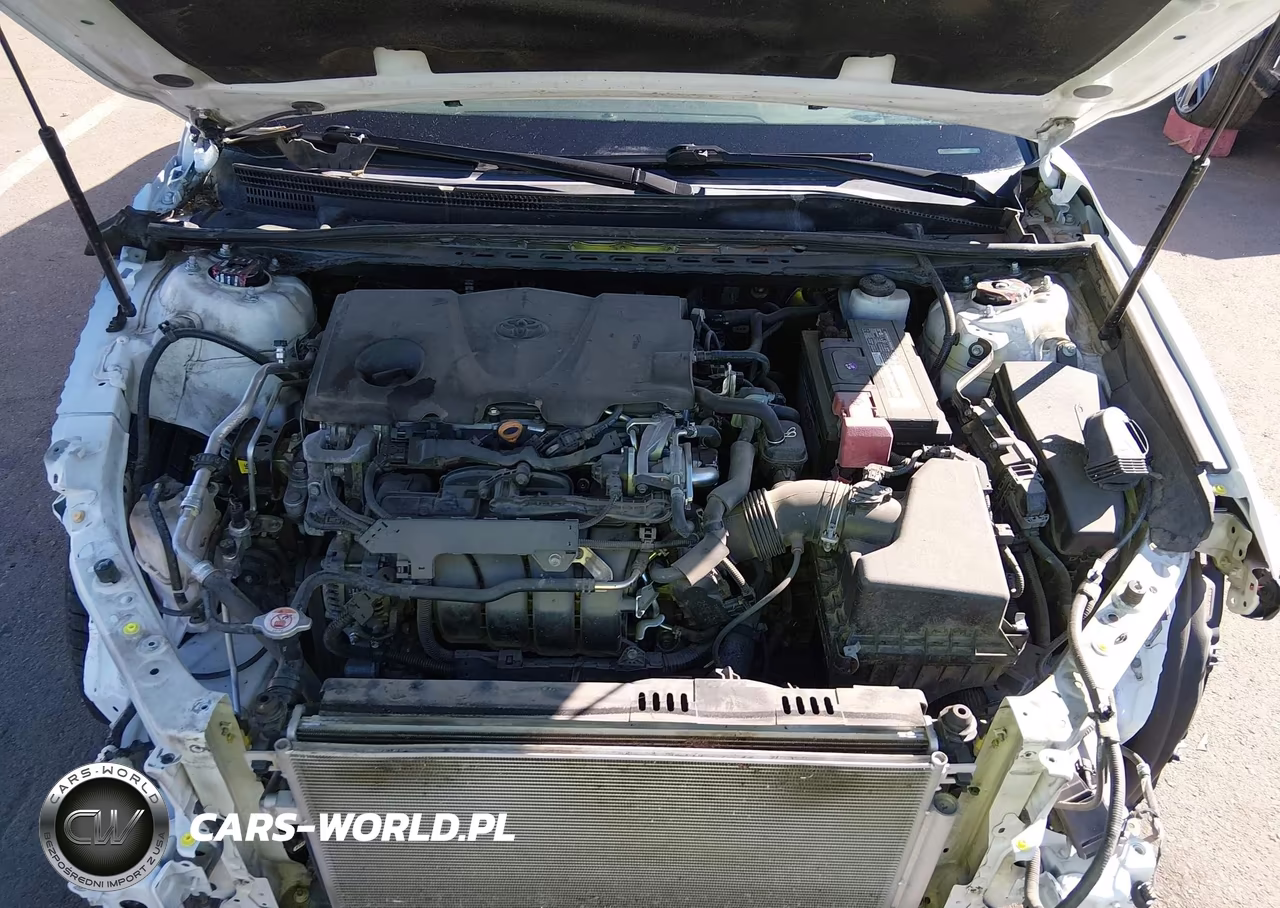 2019 Toyota Camry Le VIN:4T1B11HKXKU773616 - 10