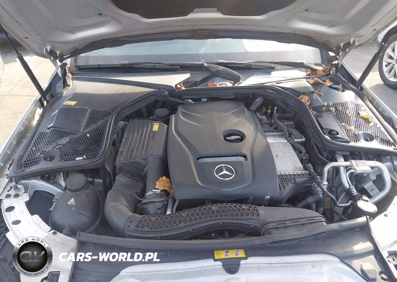 2016 Mercedes-Benz C 300 VIN:55SWF4JB4GU125576 - 10