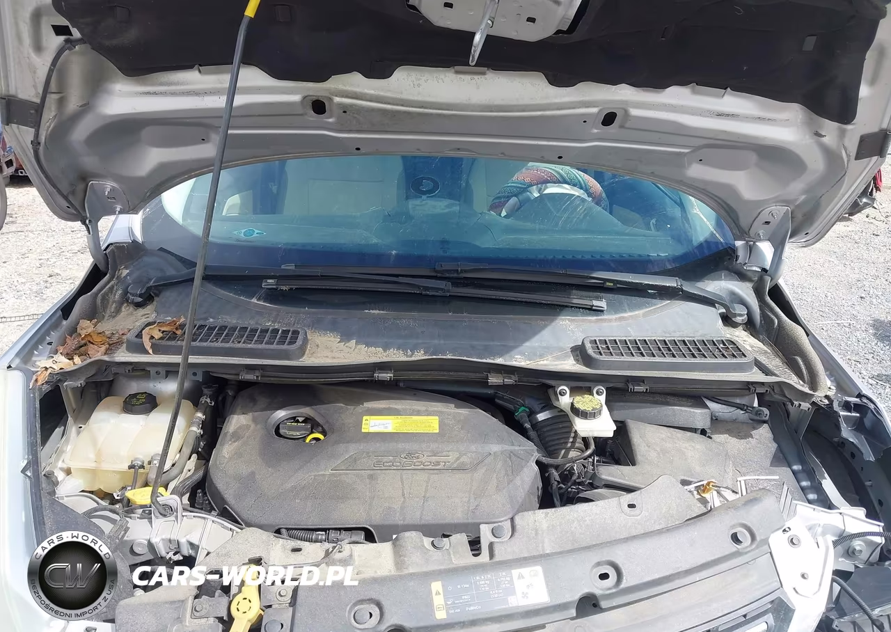 2014 Ford Escape Se VIN:1FMCU0GX4EUC89884 - 10