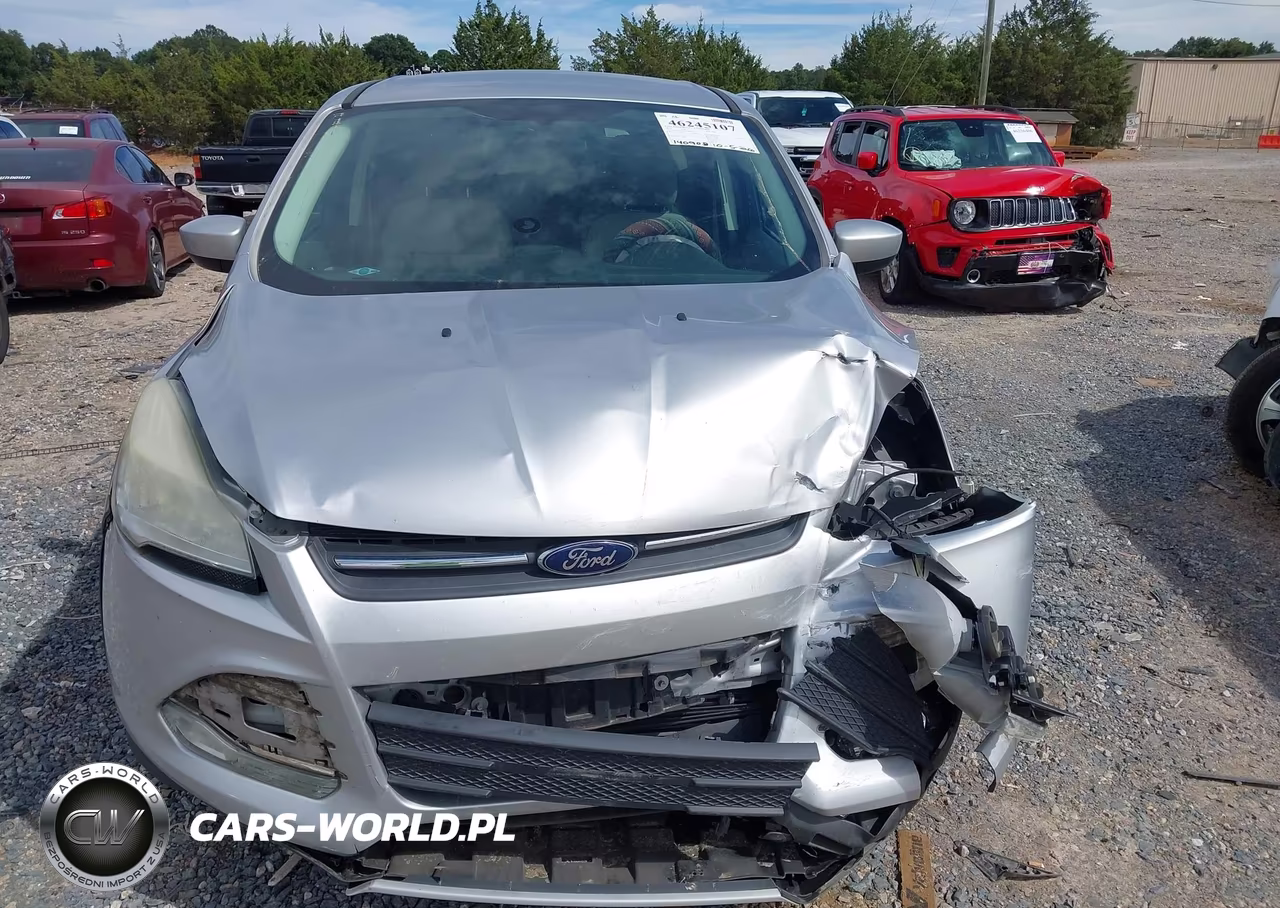 2014 Ford Escape Se VIN:1FMCU0GX4EUC89884 - 12
