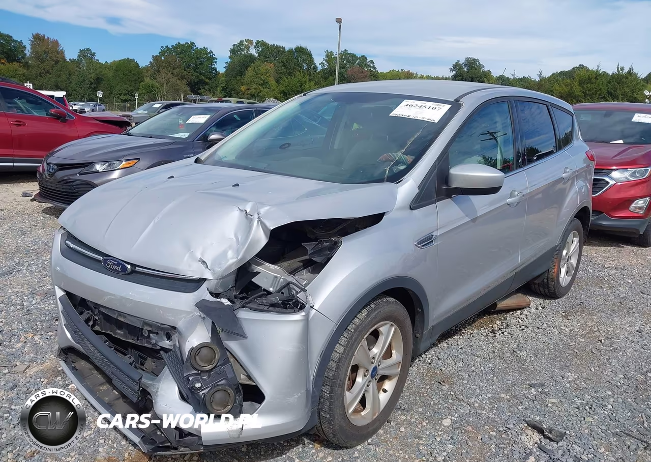 2014 Ford Escape Se VIN:1FMCU0GX4EUC89884 - 2