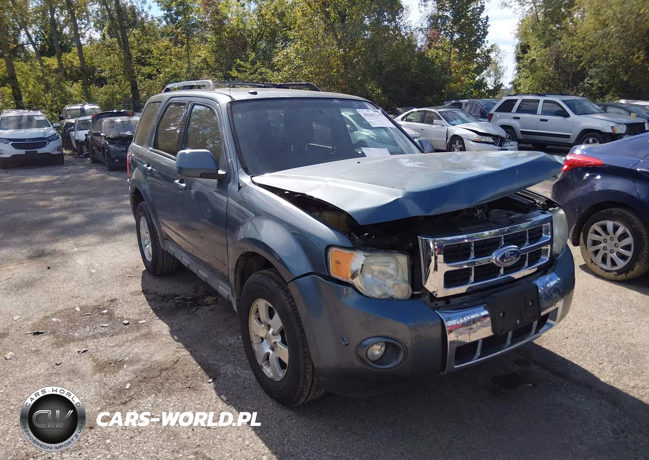 2010 Ford Escape Limited