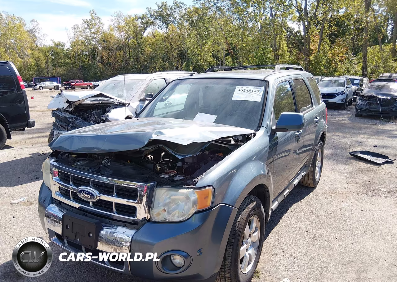 2010 Ford Escape Limited VIN:1FMCU0EG8AKD00989 - 2