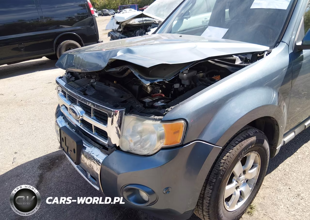2010 Ford Escape Limited VIN:1FMCU0EG8AKD00989 - 6