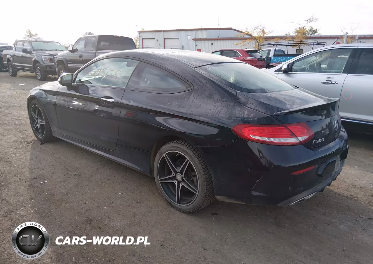 2017 Mercedes-Benz C 300 4Matic VIN:WDDWJ4KB0HF371039 - 3