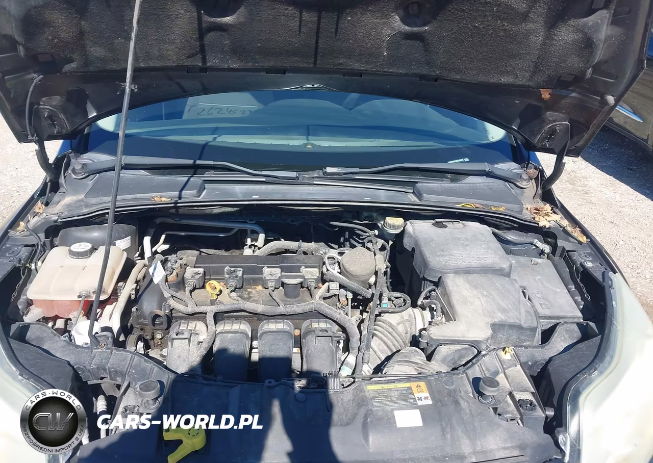 2012 Ford Focus Sel VIN:1FAHP3M23CL363686 - 10
