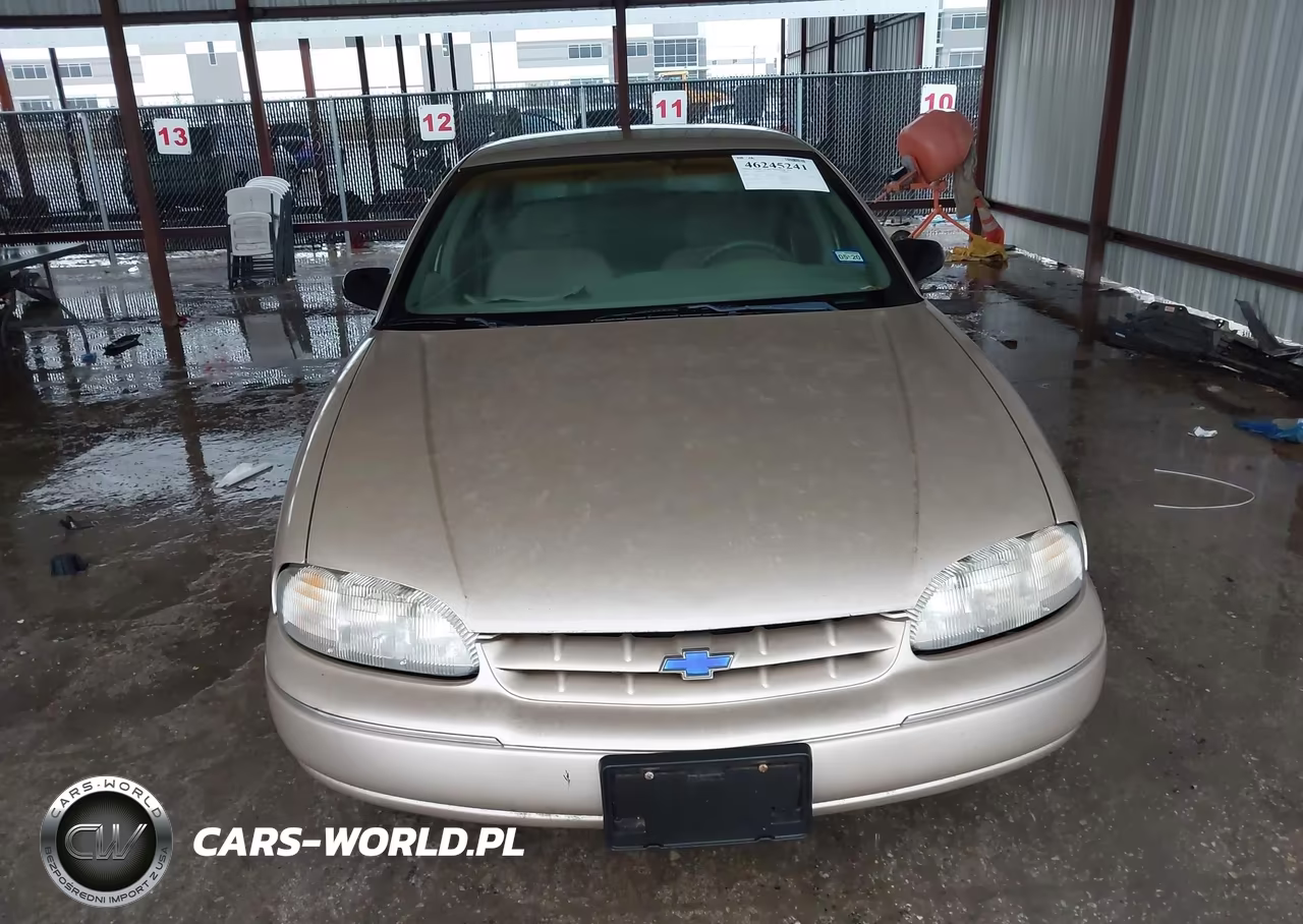 1999 Chevy Lumni VIN:2G1WL52M7X9143650 - 12