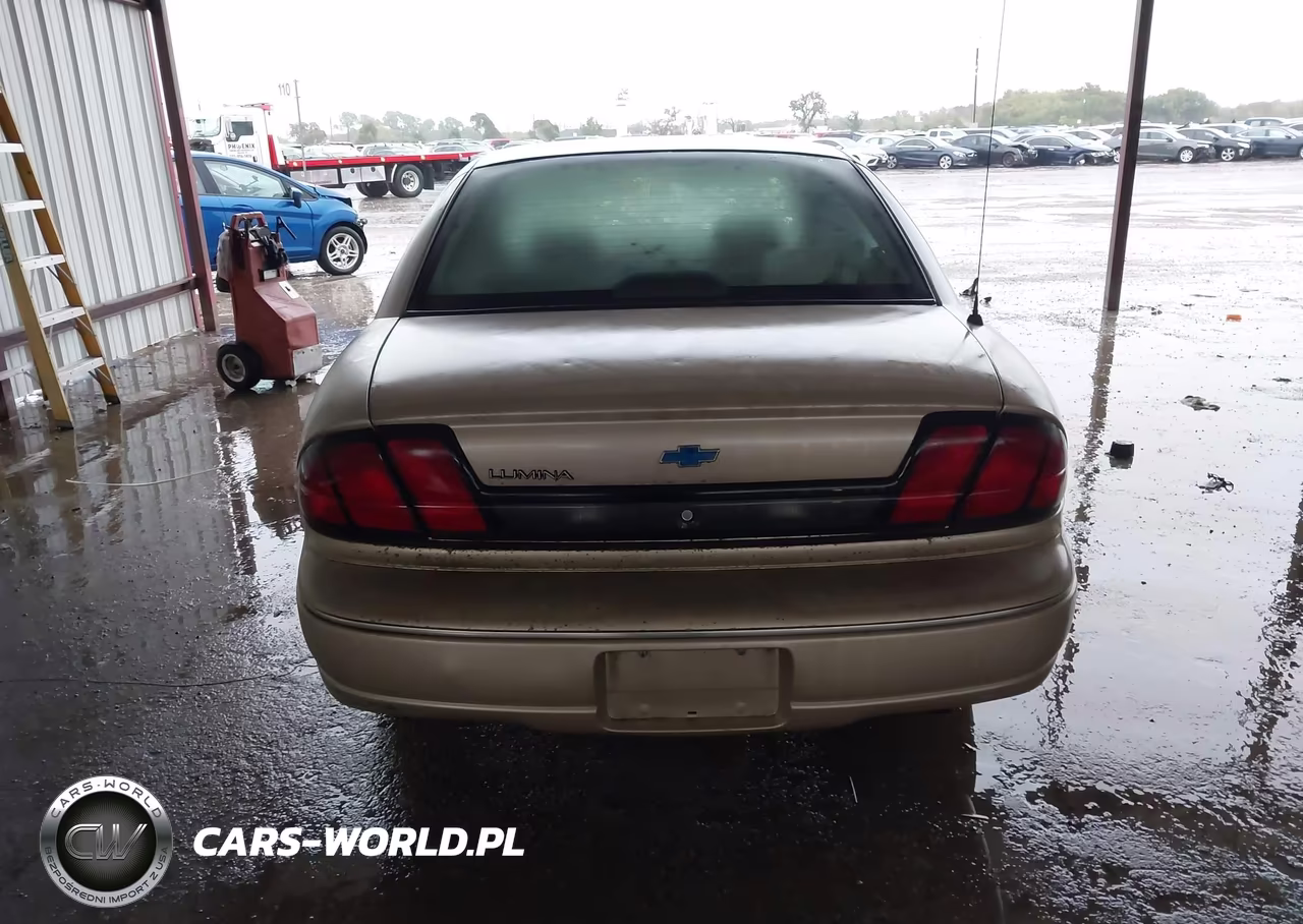 1999 Chevy Lumni VIN:2G1WL52M7X9143650 - 16