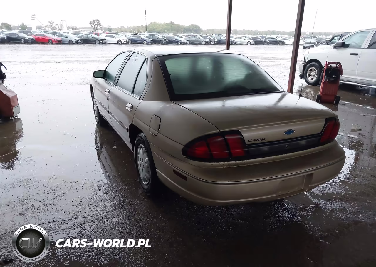 1999 Chevy Lumni VIN:2G1WL52M7X9143650 - 3