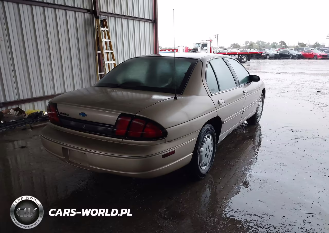 1999 Chevy Lumni VIN:2G1WL52M7X9143650 - 4