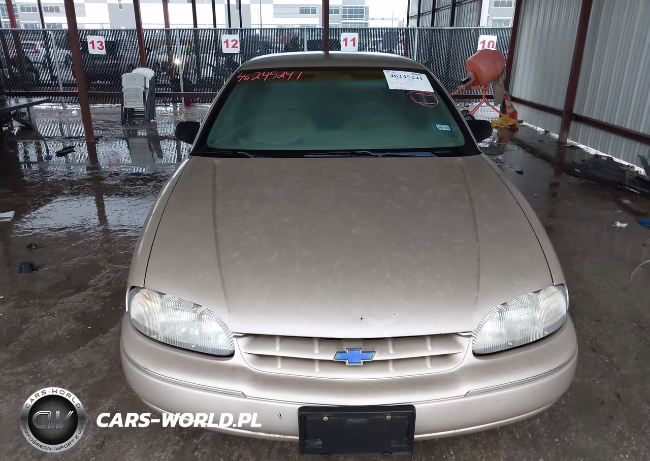 1999 Chevy Lumni VIN:2G1WL52M7X9143650 - 6