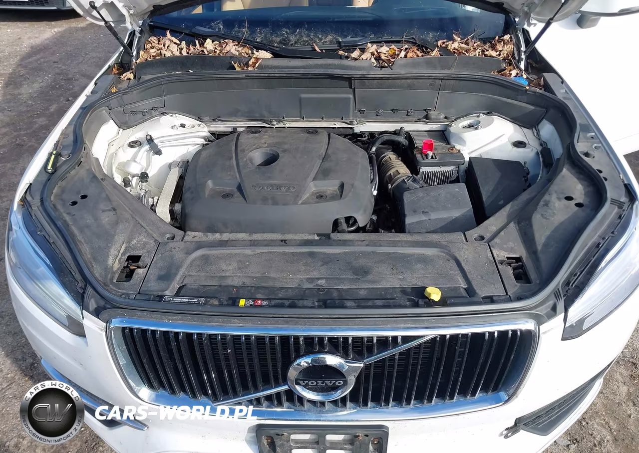 2019 Volvo Xc90 T6 Momentum VIN:YV4A22PK3K1497153 - 10