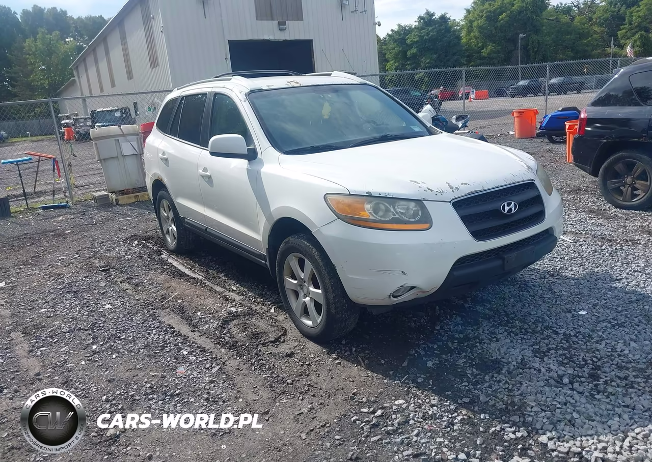 2009 Hyundai Santa Fe Se