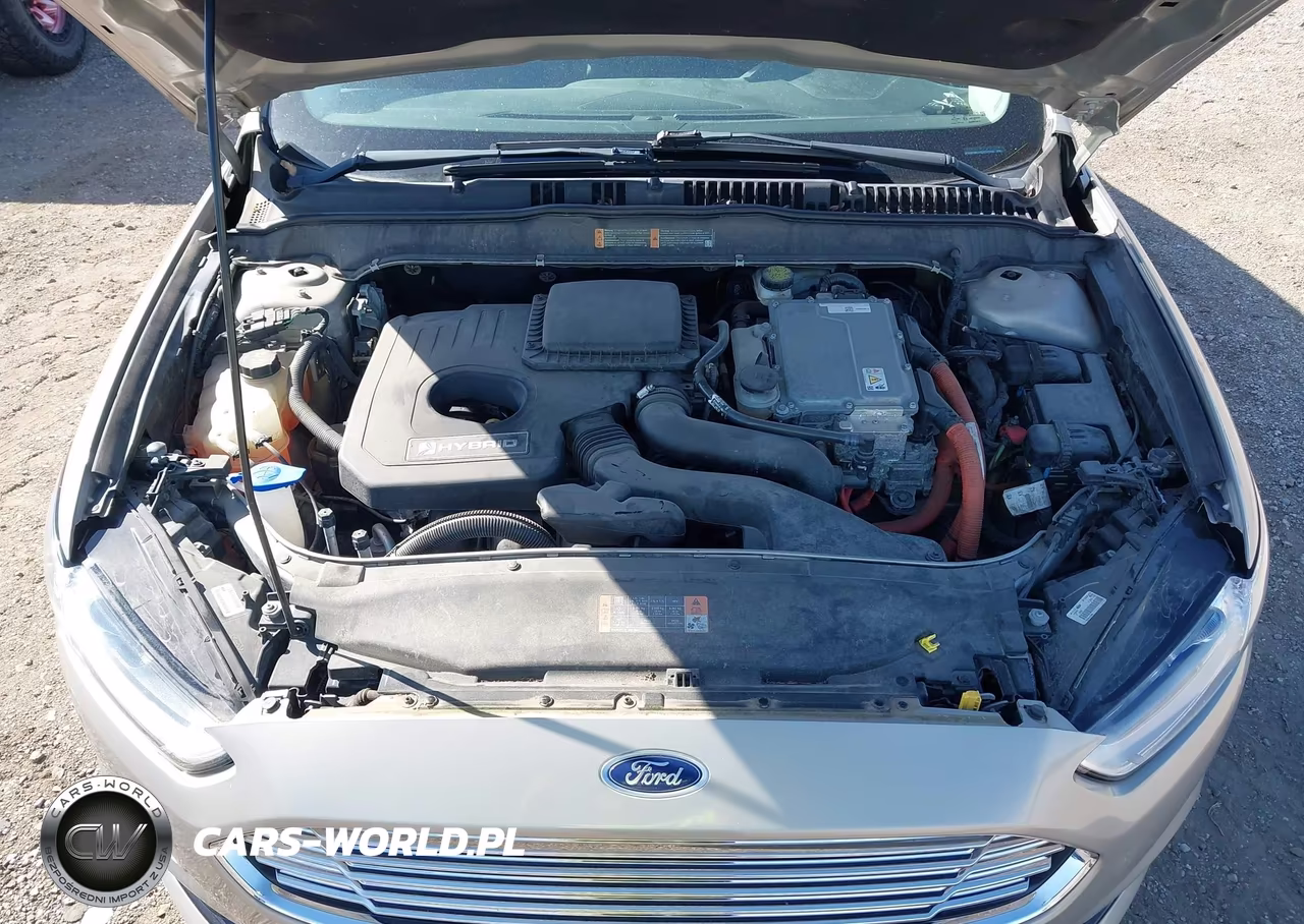 2016 Ford Fusion Hybrid Titanium VIN:3FA6P0RUXGR127205 - 10