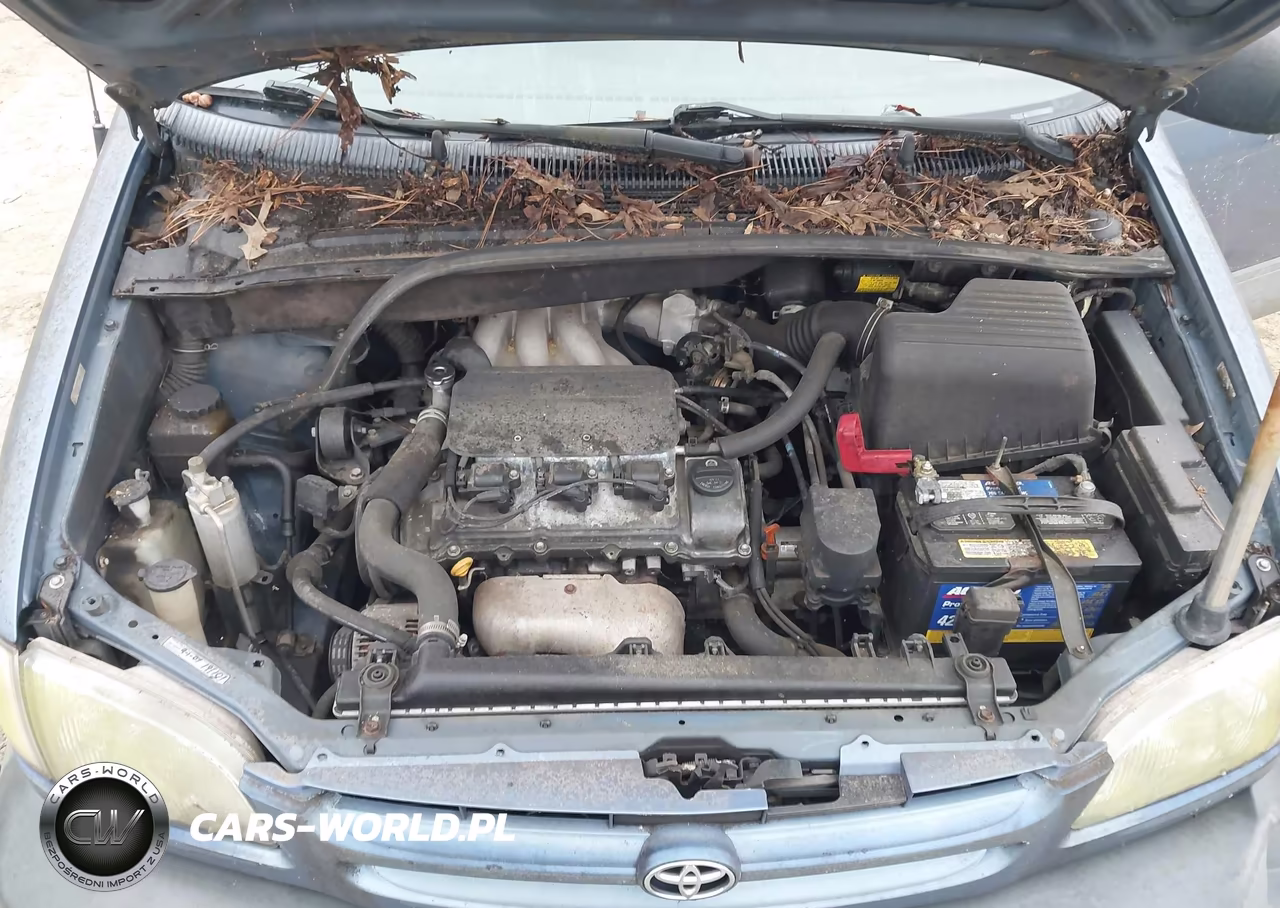 1998 Toyota Sienna Ce VIN:4T3GF19C3WU083346 - 10