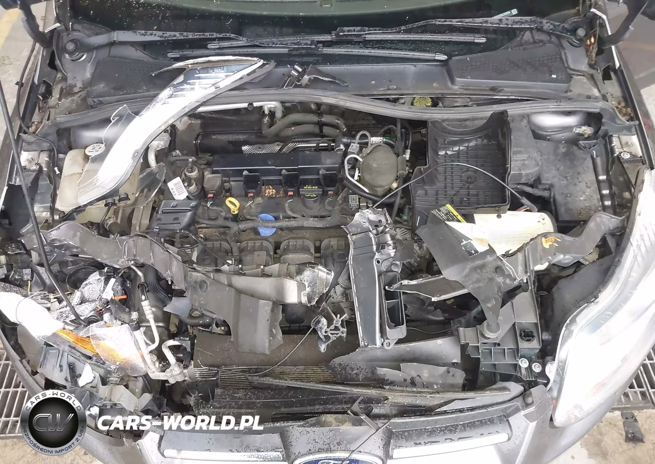 2013 Ford Focus Se VIN:1FADP3F23DL243254 - 10