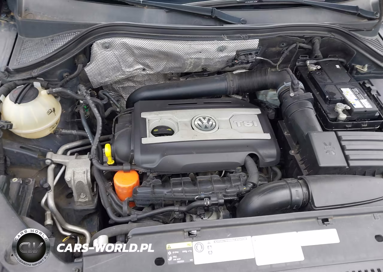 2017 Volkswagen Tiguan 2.0T-2.0T S VIN:WVGAV7AX0HK020710 - 10