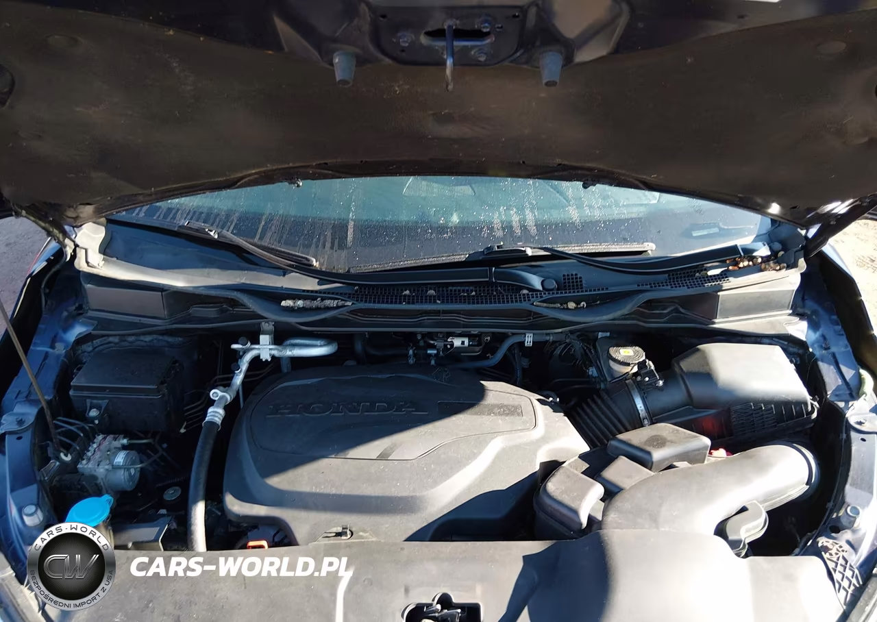 2019 Honda Odyssey Elite VIN:5FNRL6H92KB067126 - 10