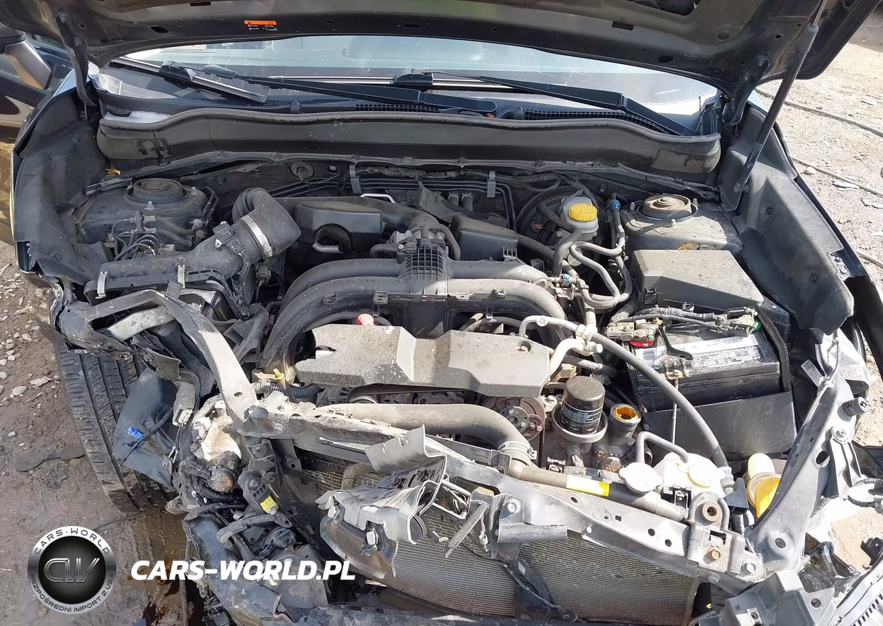 2018 Subaru Forester 2.5I Premium VIN:JF2SJAGC9JH530905 - 10