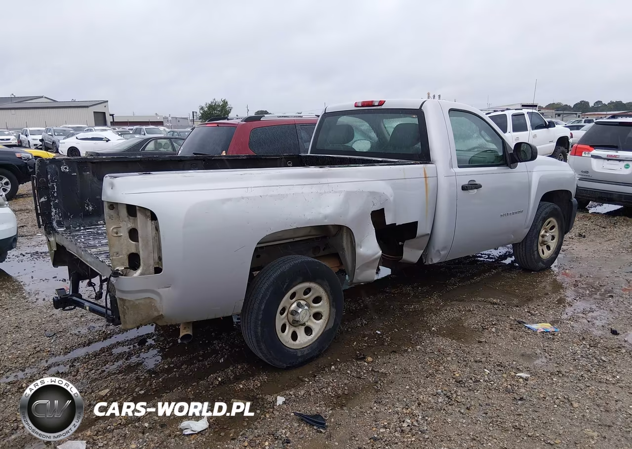 2010 Chevrolet Silverado 1500 Work Truck VIN:1GCPCPEA0AZ223992 - 4