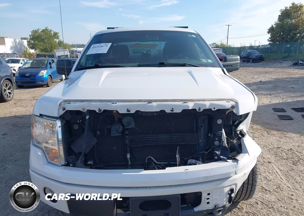 2014 Ford F-150 Stx VIN:1FTFX1EF8EFB54744 - 12