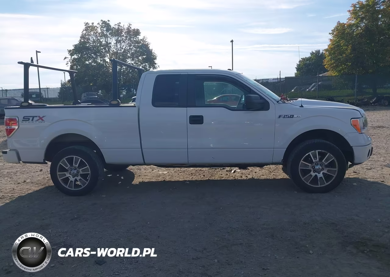 2014 Ford F-150 Stx VIN:1FTFX1EF8EFB54744 - 13