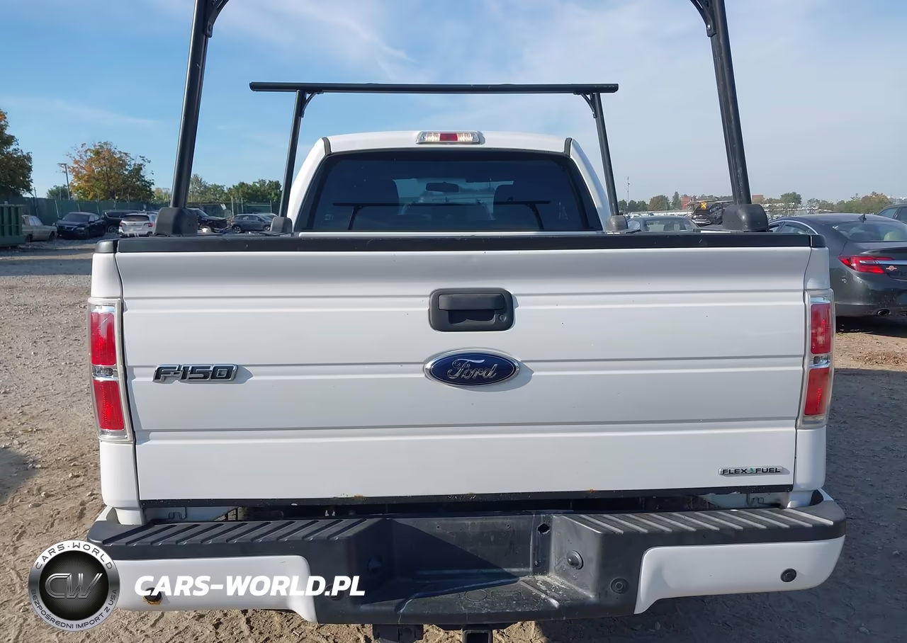 2014 Ford F-150 Stx VIN:1FTFX1EF8EFB54744 - 16