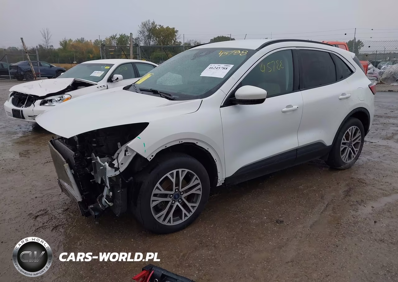 2021 Ford Escape Sel VIN:1FMCU9H6XMUA64538 - 2