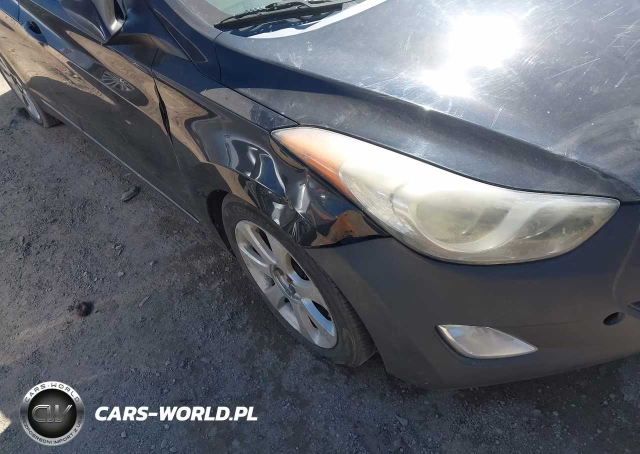 2013 Hyundai Elantra Limited VIN:5NPDH4AE5DH369070 - 6