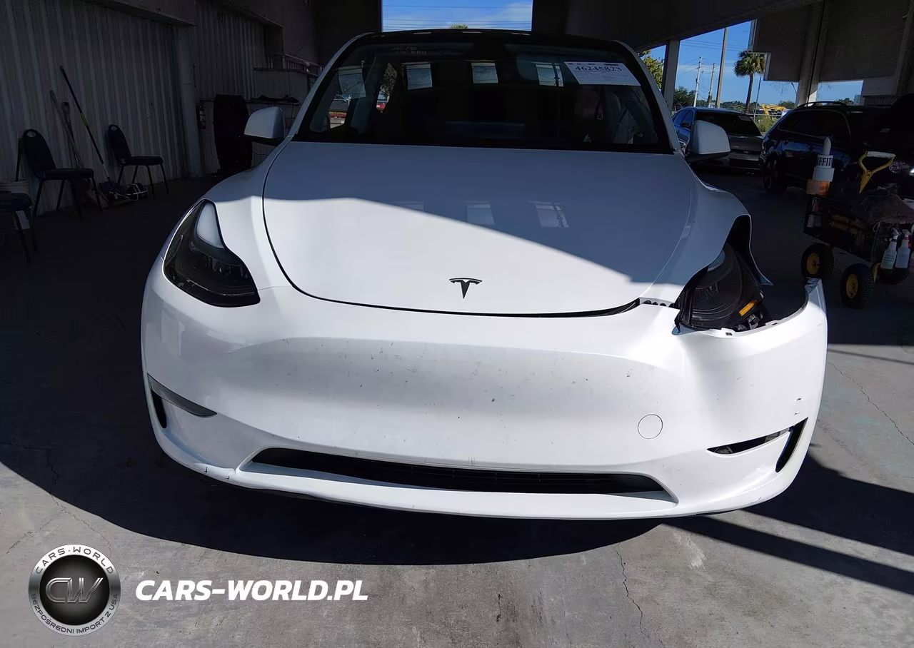 2025 Tesla Model Y Long Range Dual Motor Rear-Wheel Drive VIN:7SAYGDEDXSA369020 - 10
