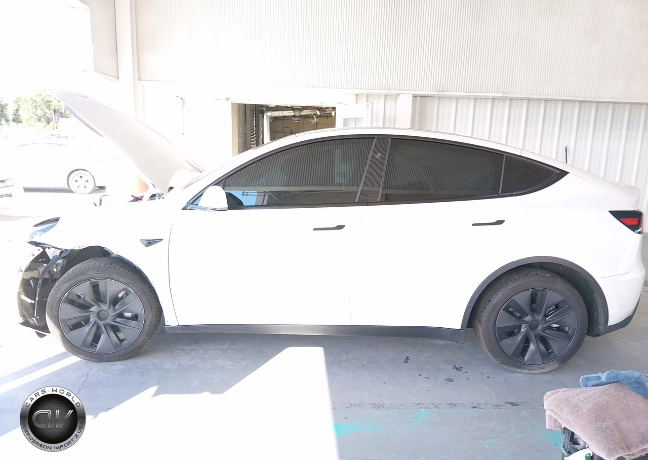 2025 Tesla Model Y Long Range Dual Motor Rear-Wheel Drive VIN:7SAYGDEDXSA369020 - 12