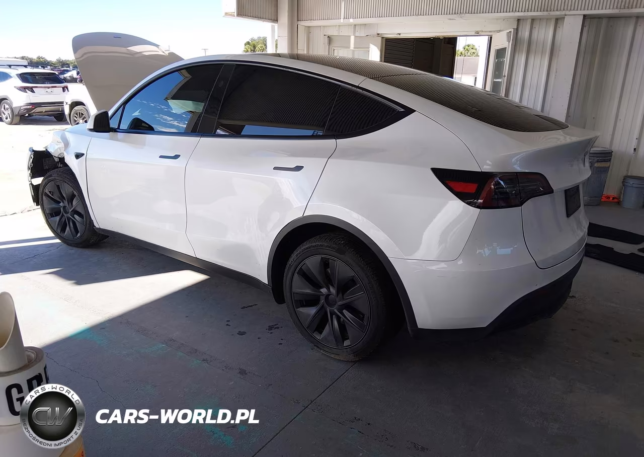 2025 Tesla Model Y Long Range Dual Motor Rear-Wheel Drive VIN:7SAYGDEDXSA369020 - 3