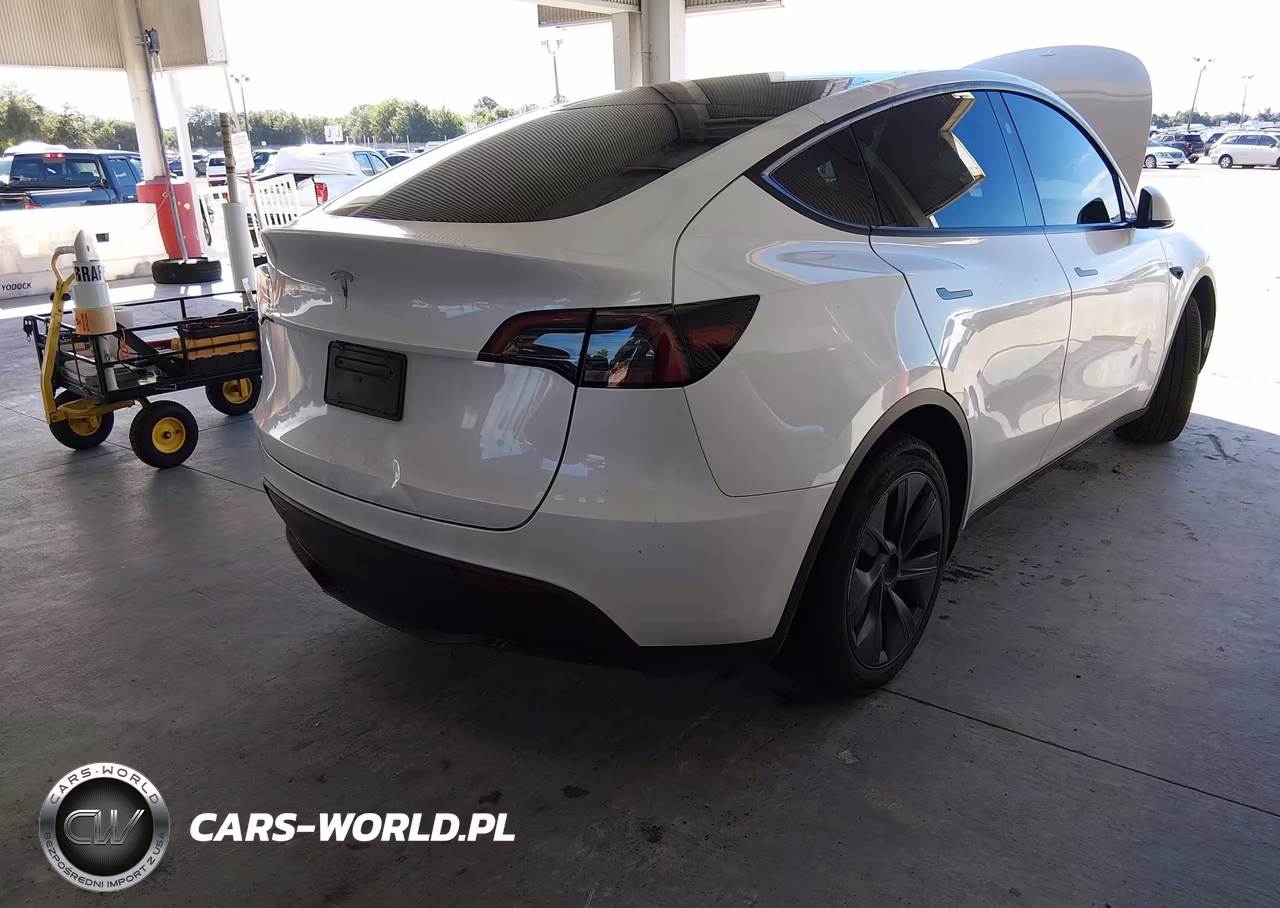 2025 Tesla Model Y Long Range Dual Motor Rear-Wheel Drive VIN:7SAYGDEDXSA369020 - 4