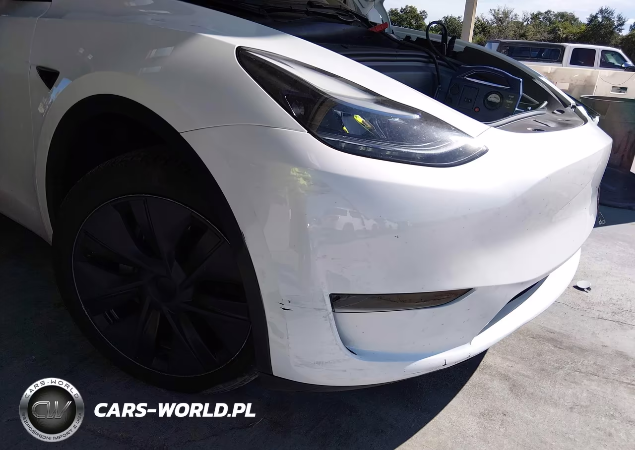 2025 Tesla Model Y Long Range Dual Motor Rear-Wheel Drive VIN:7SAYGDEDXSA369020 - 6